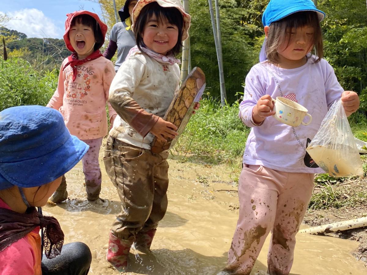 保育とは、子どもの育つ力を引き出すことのメインビジュアル