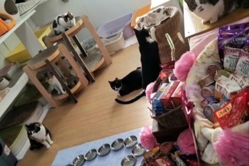 💖ご寄付が300,000円を超えました。誕生会スタートできます。ありがとうございます。のメインビジュアル