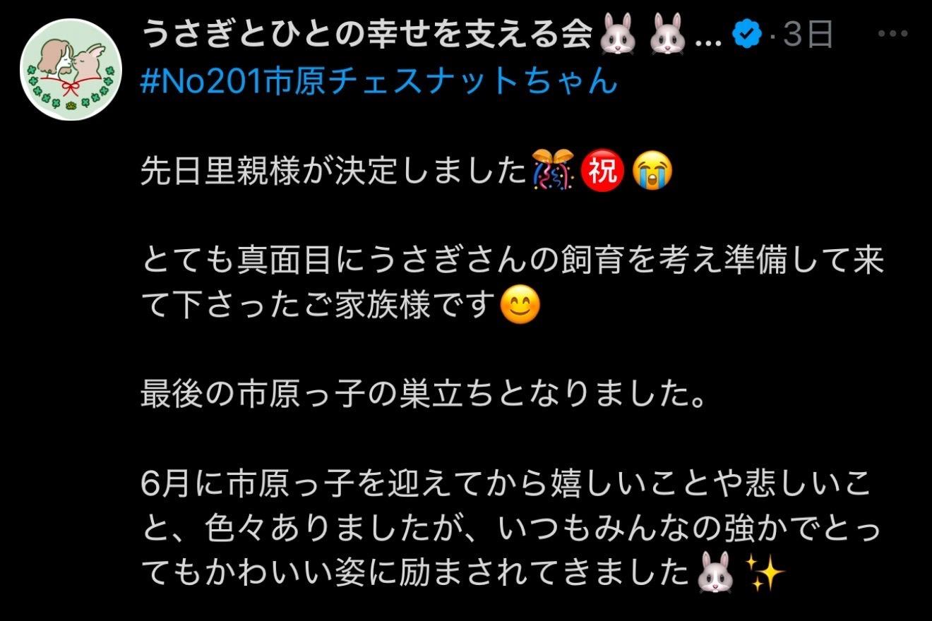 市原ズ、全員が里親さんの元に出発できましたのメインビジュアル