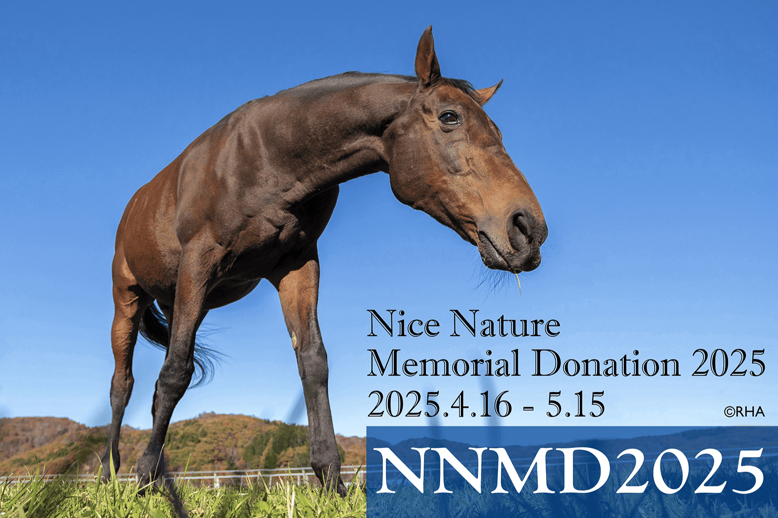 「ナイスネイチャ・メモリアルドネーション 2025」終了に寄せてのメインビジュアル