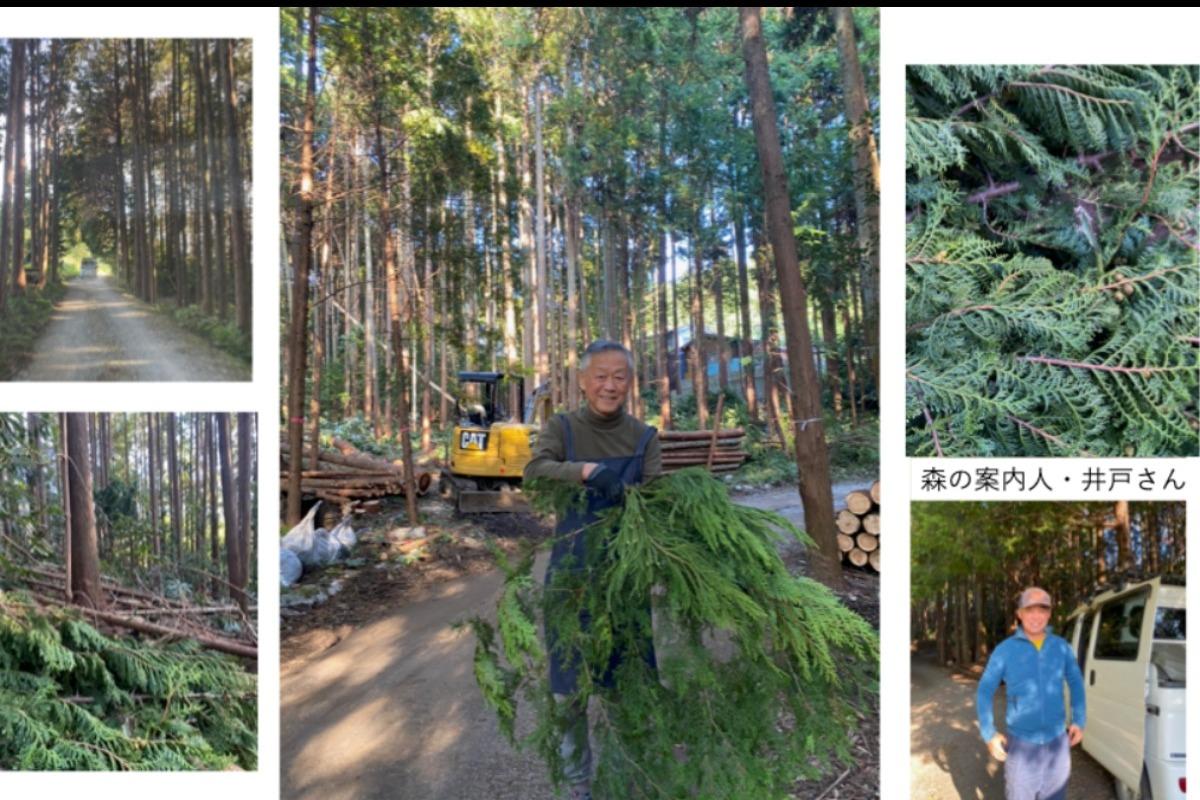 富士山麓の森・伐採現場のメインビジュアル