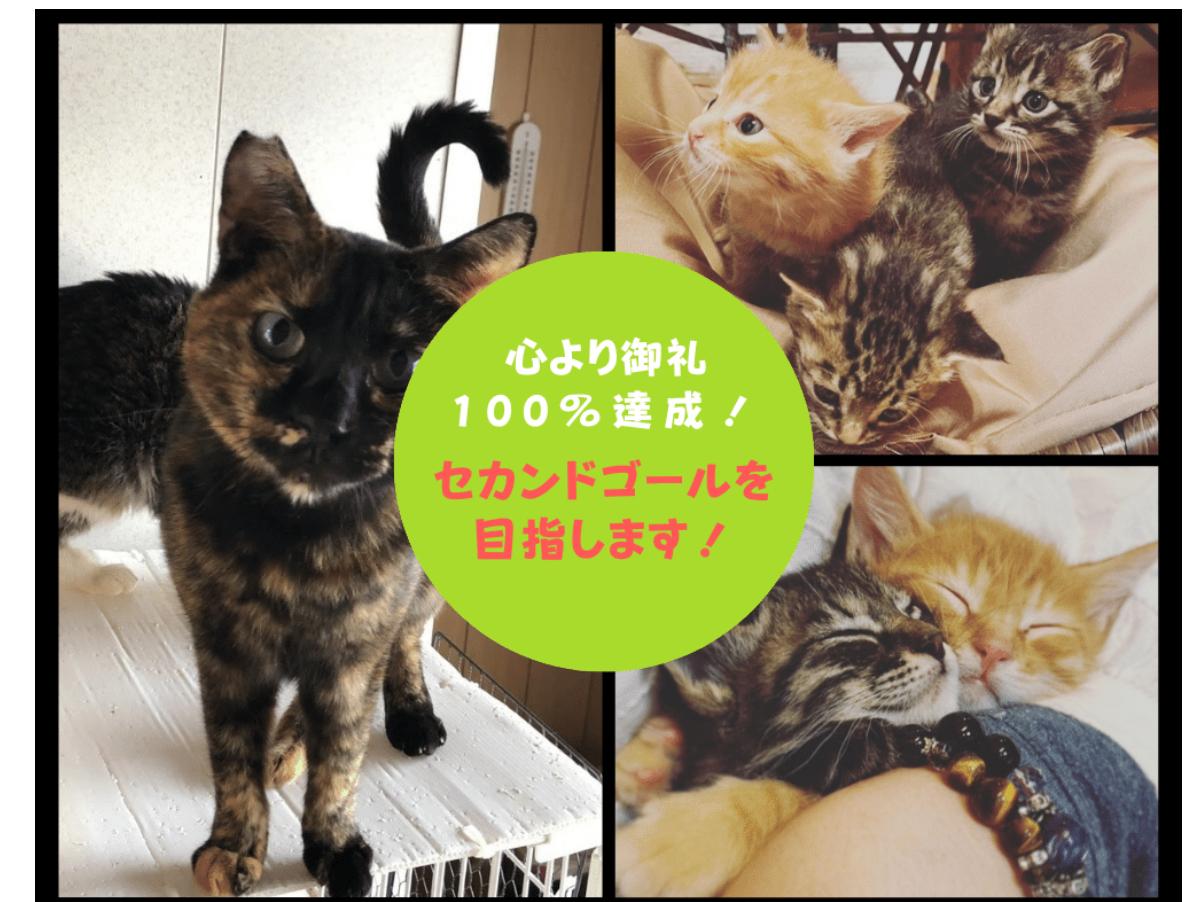 【100％達成心より感謝致します】次の目標へ向けて、セカンドゴールをスタート致します！のメインビジュアル