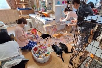 ★ありがとう。猫達の誕生会、はじまりました。のメインビジュアル