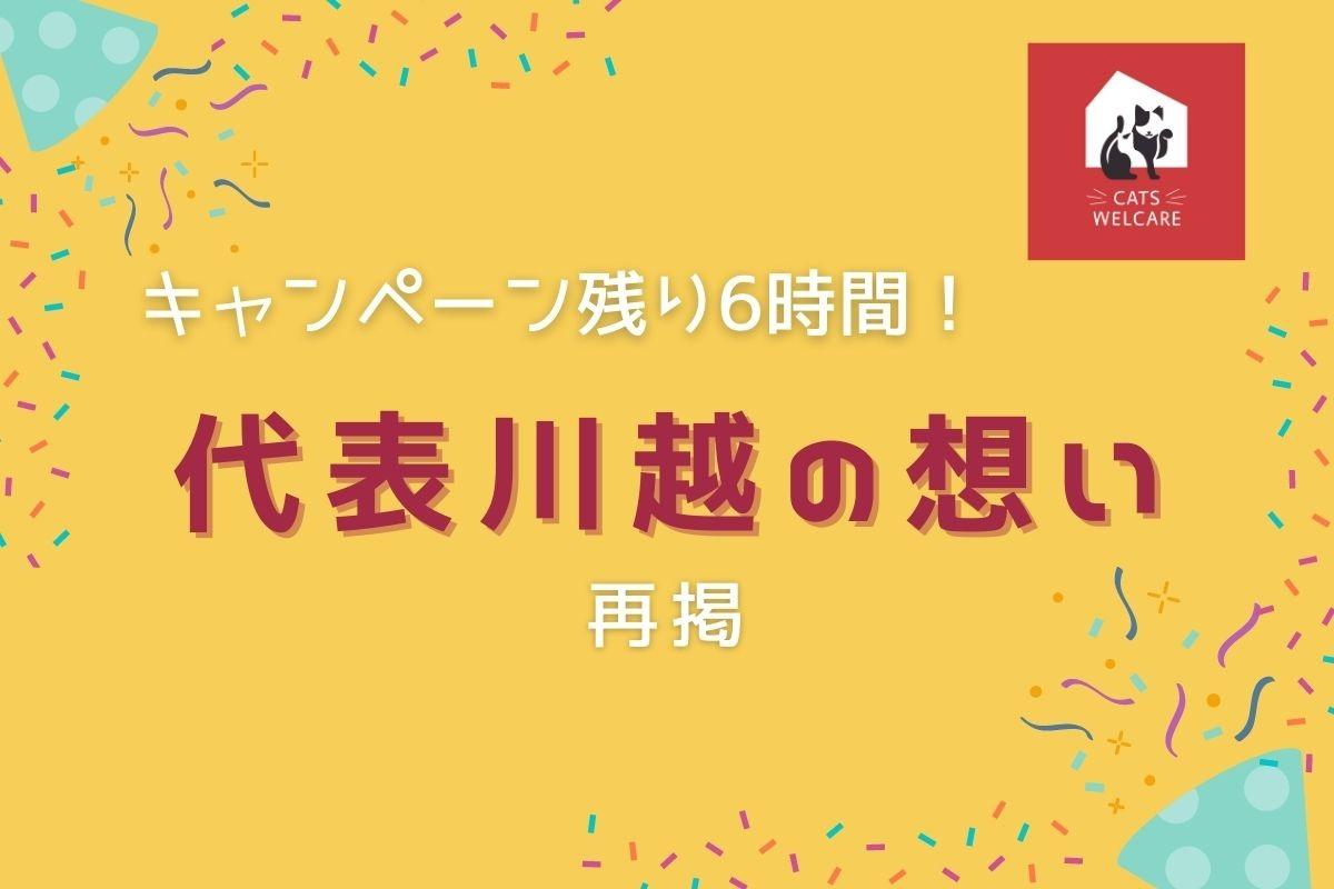 【キャンペーン残り6時間！】 代表川越の想いを再掲します！のメインビジュアル