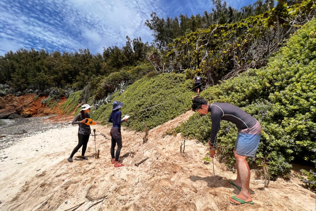 活動紹介（小笠原諸島）のメインビジュアル