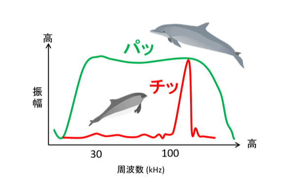 研究紹介：パッとチッのメインビジュアル