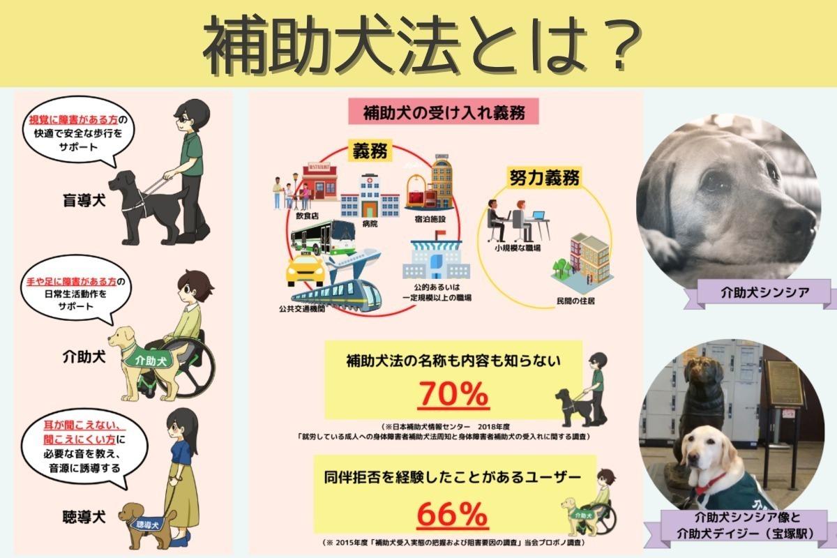 施行20周年をむかえた補助犬法について詳しくご説明します！のメインビジュアル