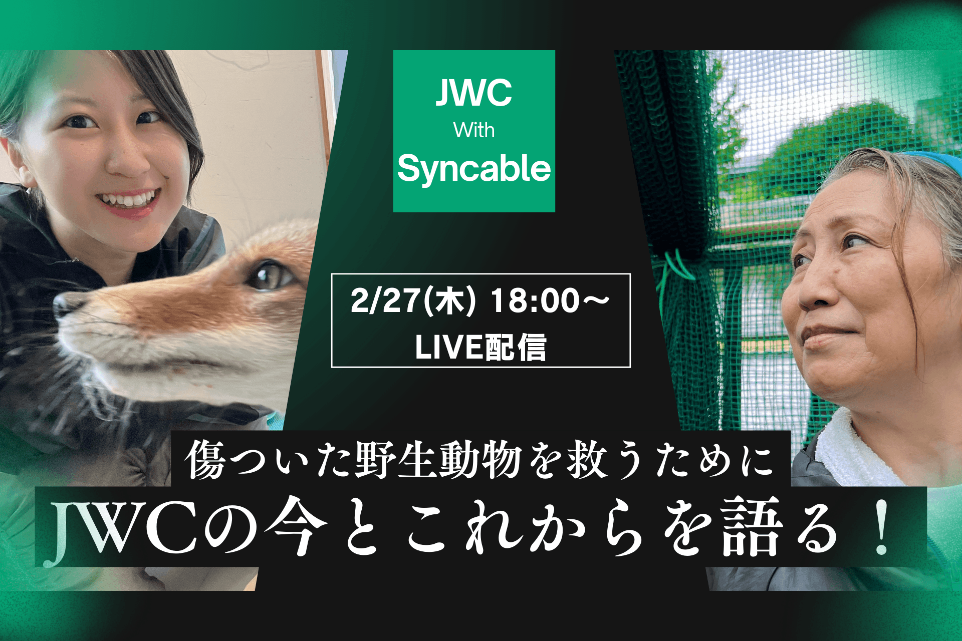 【緊急生配信】YouTubeライブ配信！ JWCサポメン募集ラストスパートを盛り上げよう！のメインビジュアル