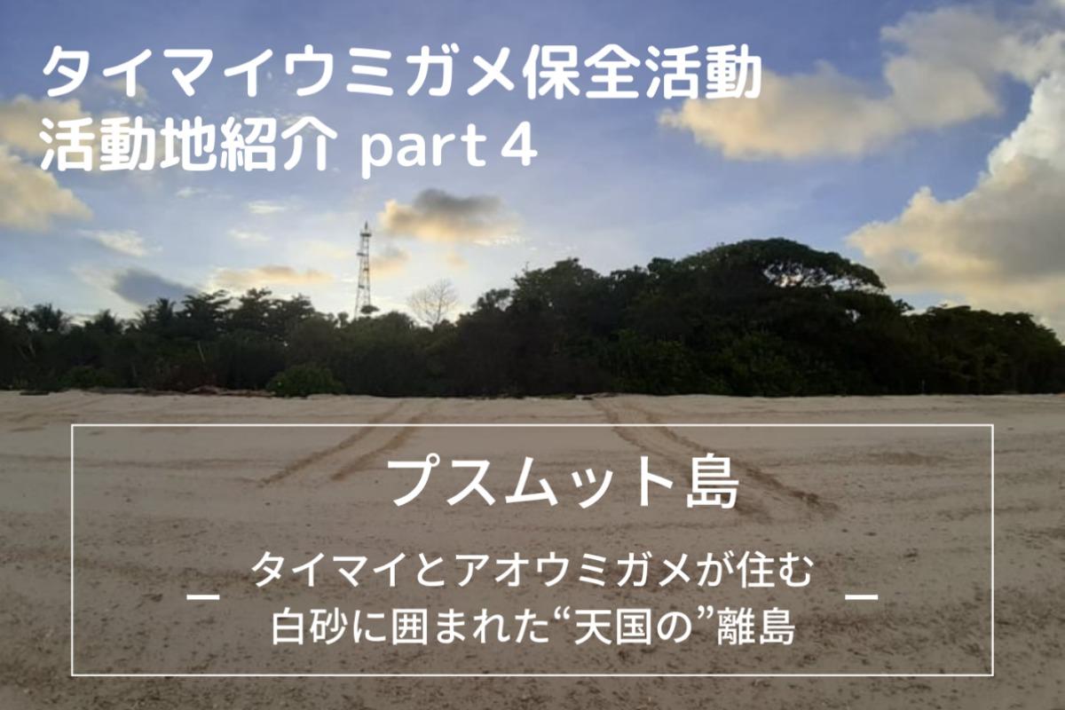 タイマイ活動地紹介～その④～のメインビジュアル