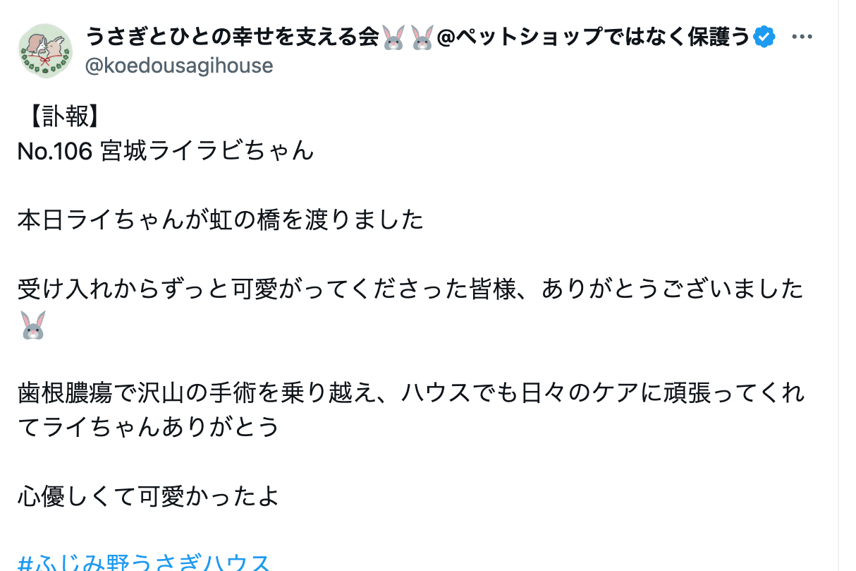 ライラビちゃん　お知らせ　虹の橋のメインビジュアル