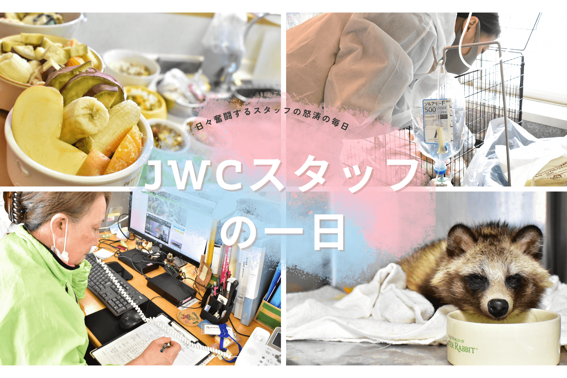 JWCスタッフの一日　~日々奮闘するスタッフの怒涛の毎日~のメインビジュアル