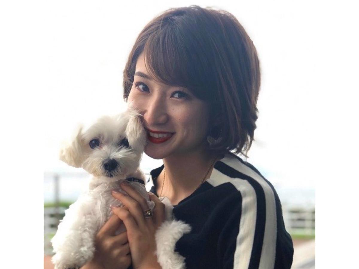 アニドネメンバーの想い～自分にできることで犬に恩返しをしたい～のメインビジュアル