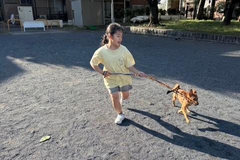 香川より１００匹の命を救うプロジュエクト　家族ができた二匹の子犬は・・・近況報告です。のメインビジュアル