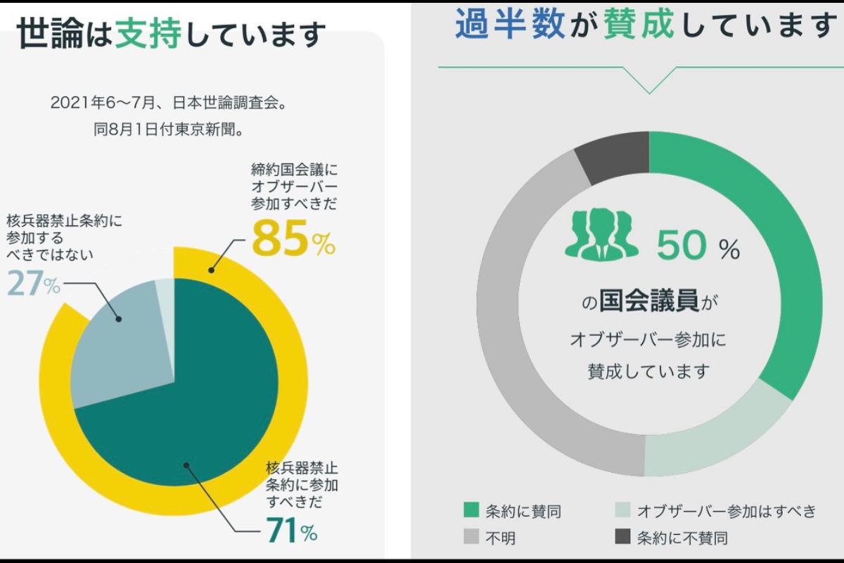 オブザーバー参加に向けて～世論「85％」を国会議員に届けよう Main Visual