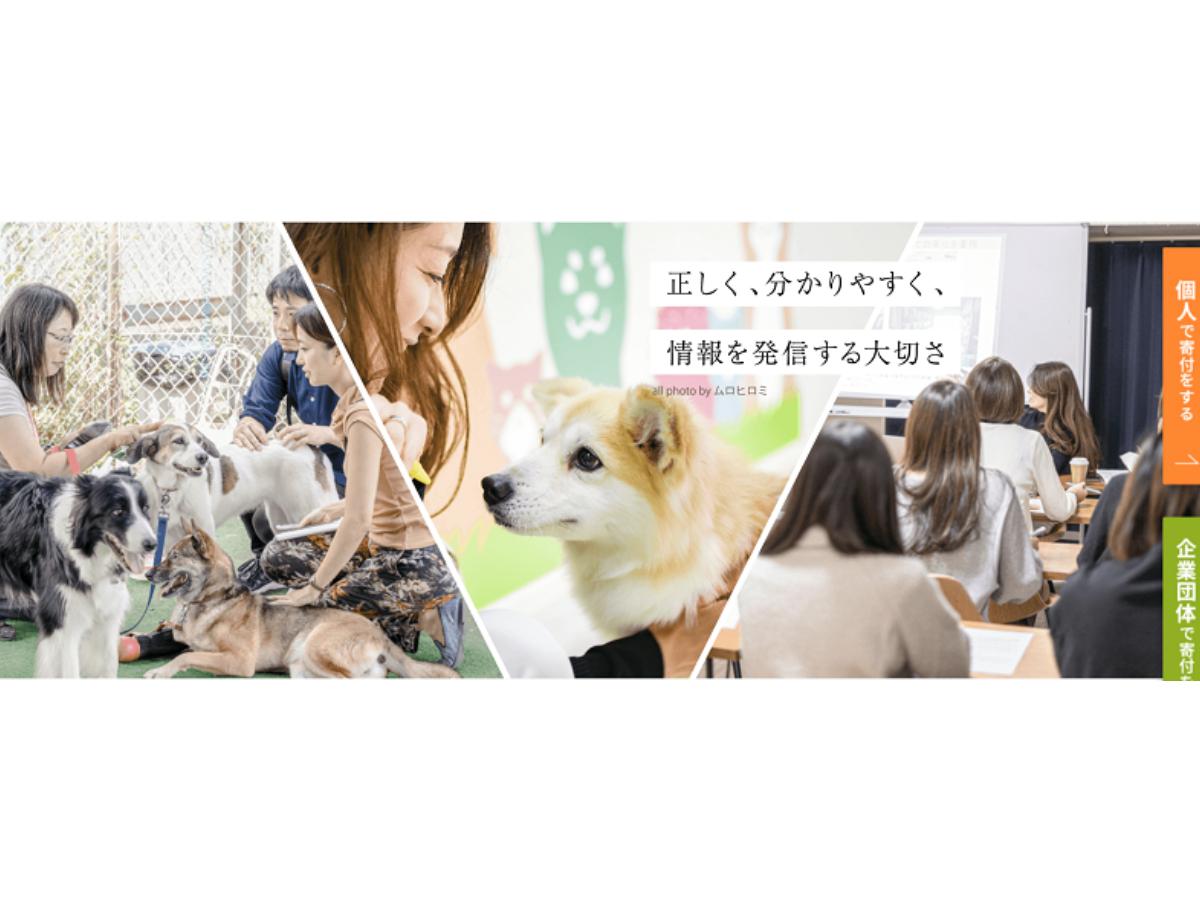 アニドネサイトのトップ画像がリニューアルしました！のメインビジュアル