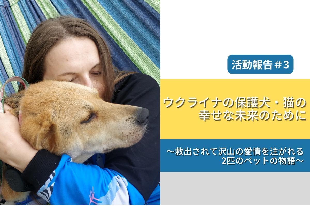 【活動報告＃3】ウクライナの保護犬・猫の幸せな未来のために　〜救出されて沢山の愛情を注がれる2匹のペットの物語〜のメインビジュアル