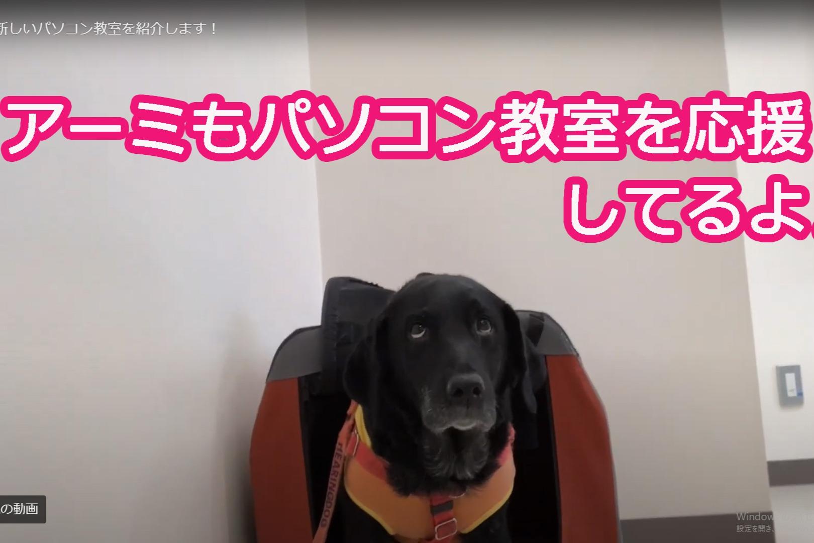 新しいパソコン教室（動画）を見てください。 Main Visual