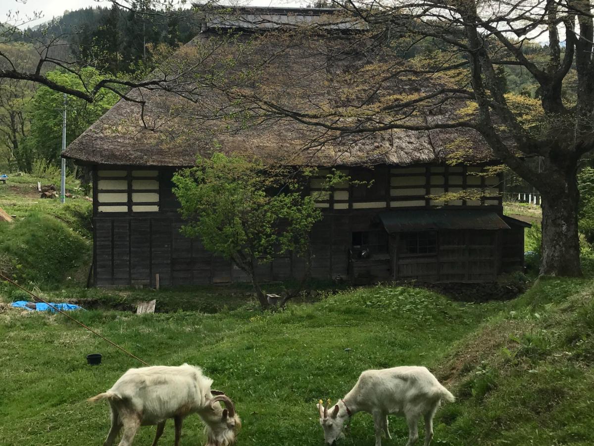 開催地より、応援の声！③～長野県真木～のメインビジュアル