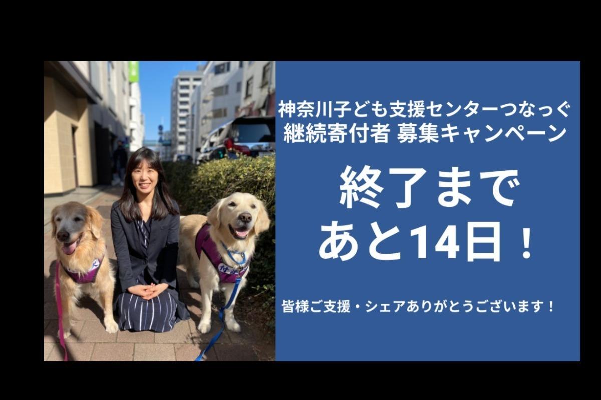 月々500円から継続寄付ができます！キャンペーン終了まであと14日！のメインビジュアル