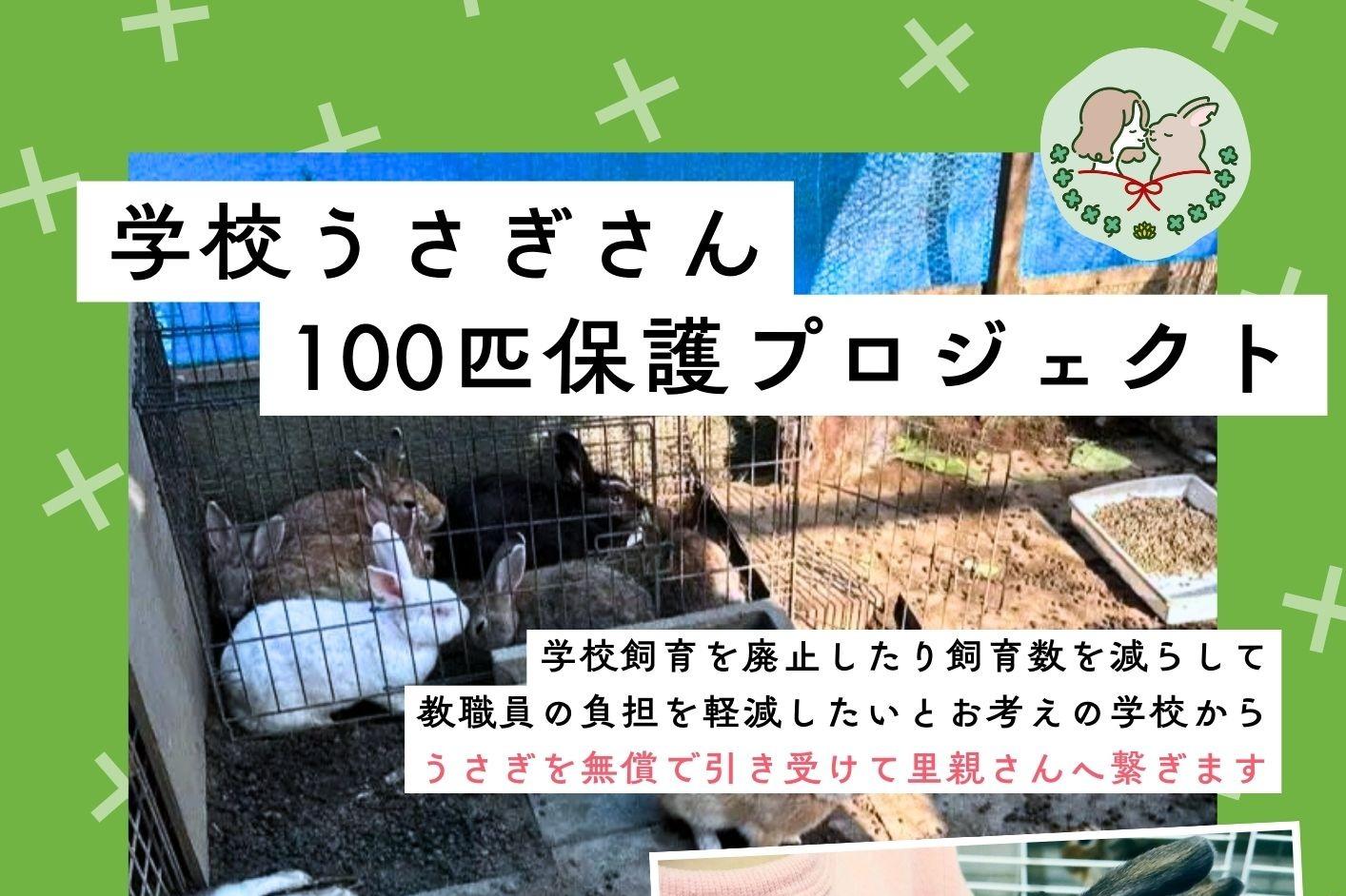 【活動報告①】学校うさぎさん100匹保護プロジェクトのメインビジュアル