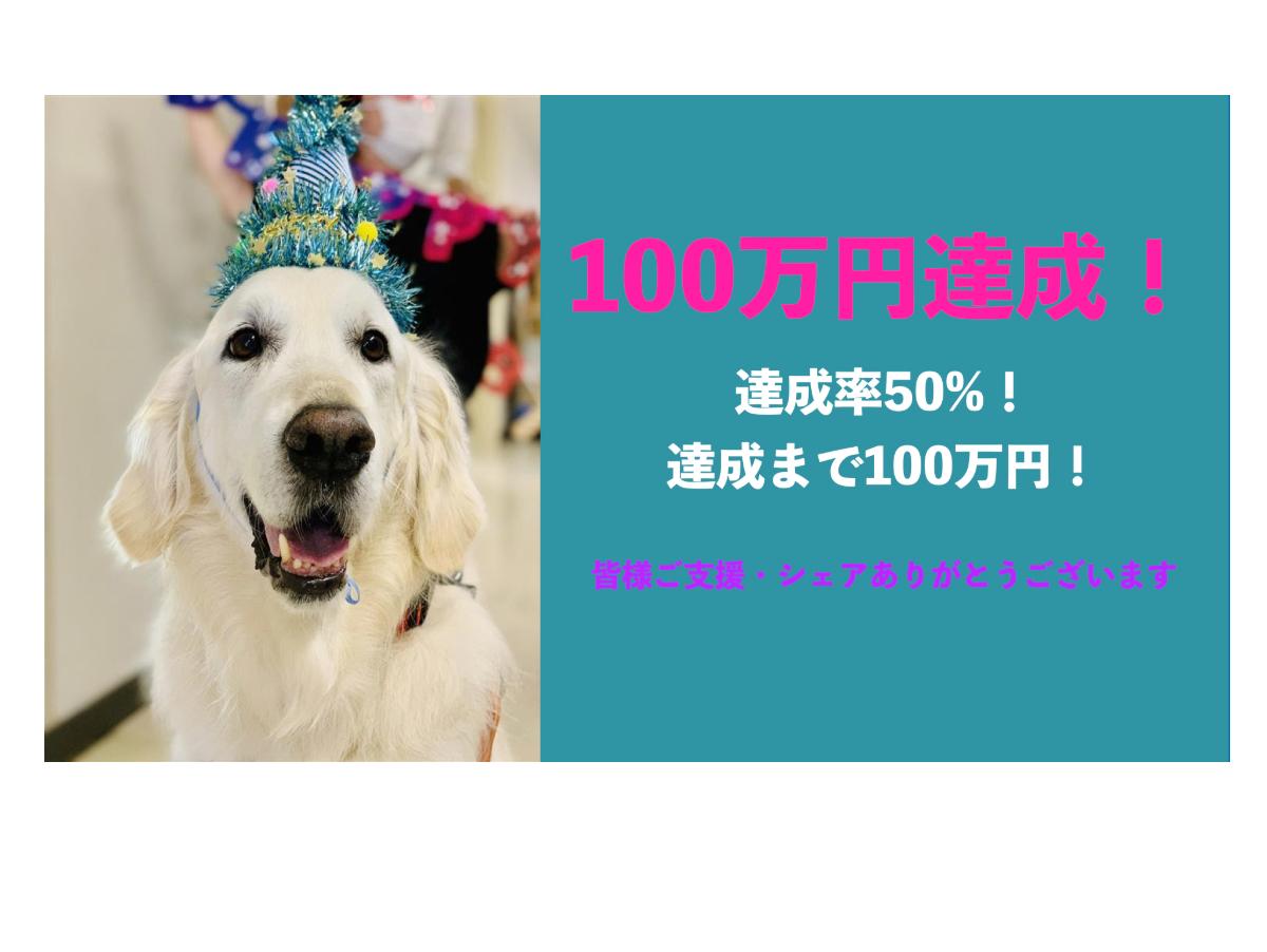 ありがとうございます！目標額の50%、100万円を超えました‼︎のメインビジュアル