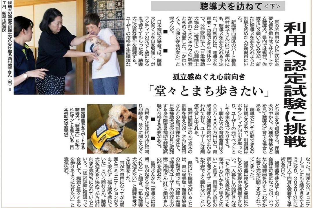 新潟日報が「聴導犬」について、２日に渡り記事を掲載してくださいました！聴導犬を訪ねて〈下〉のメインビジュアル