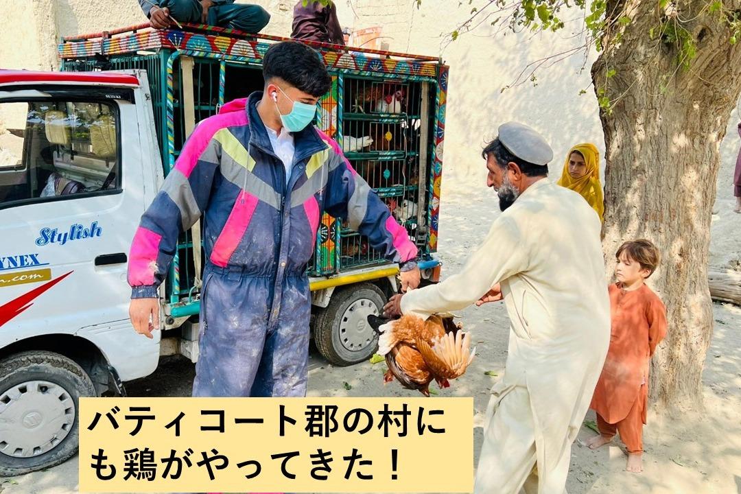 鶏の訪れとともに、我が家に希望の光が灯されましたのメインビジュアル