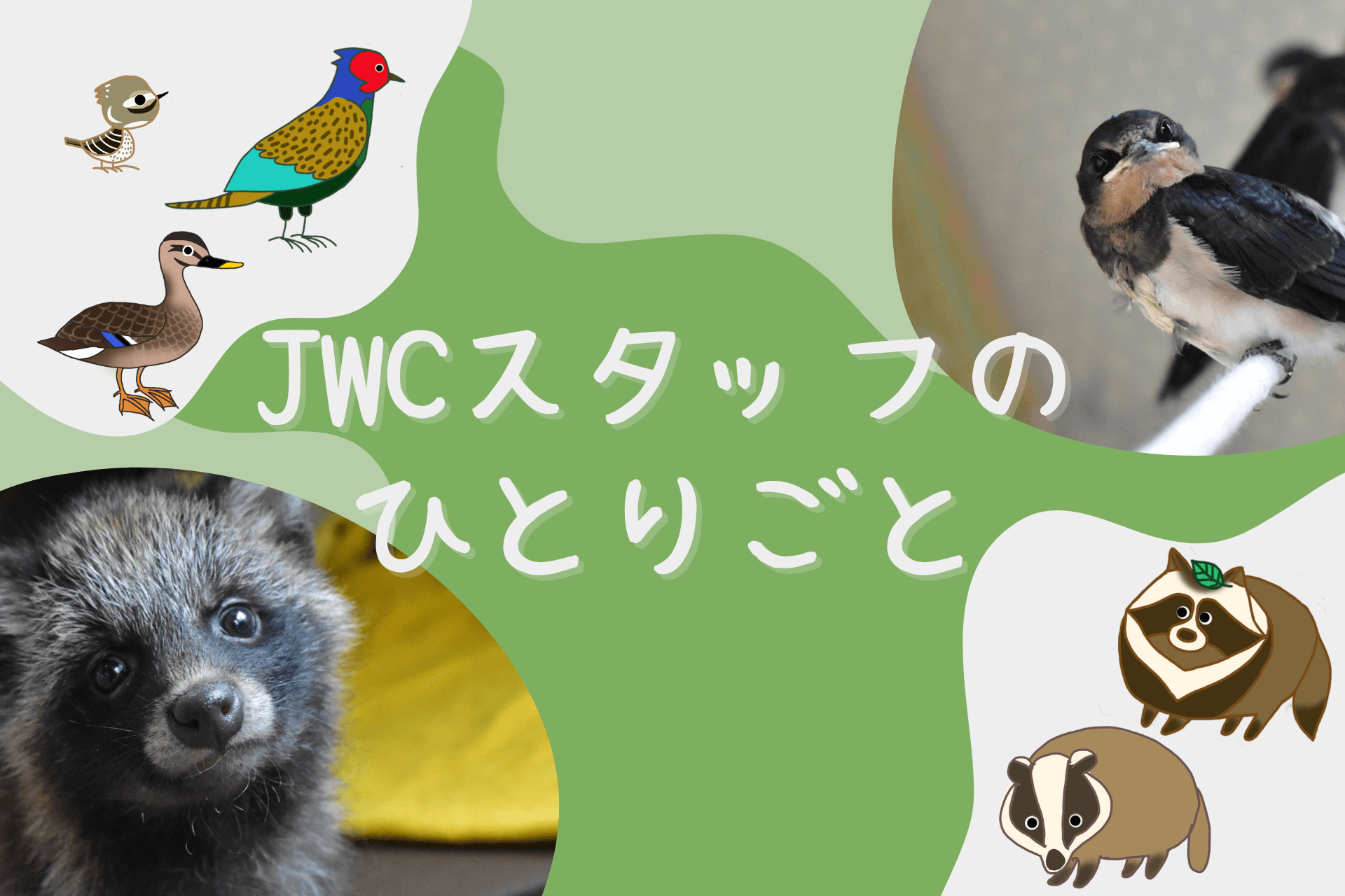 【JWCスタッフのひとりごと】正解がないから常に付きまとう不安。だからこそ最善を。のメインビジュアル