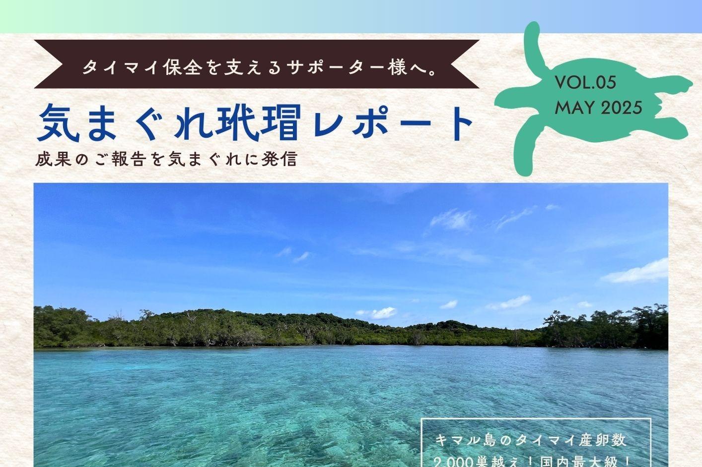 『気まぐれ玳瑁レポート』配信しましたのメインビジュアル