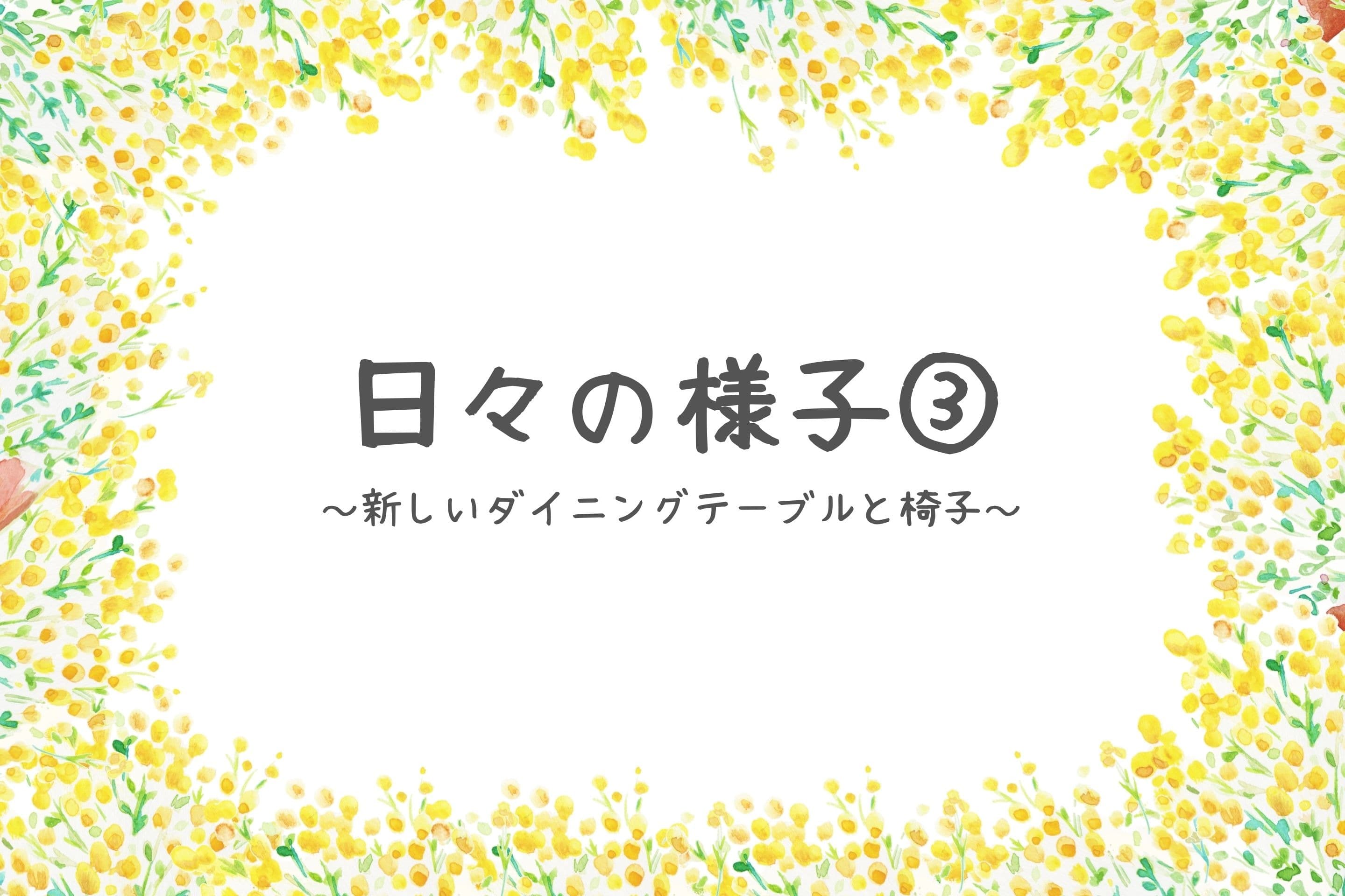 日々の様子③~新しいダイニングテーブルと椅子~のメインビジュアル
