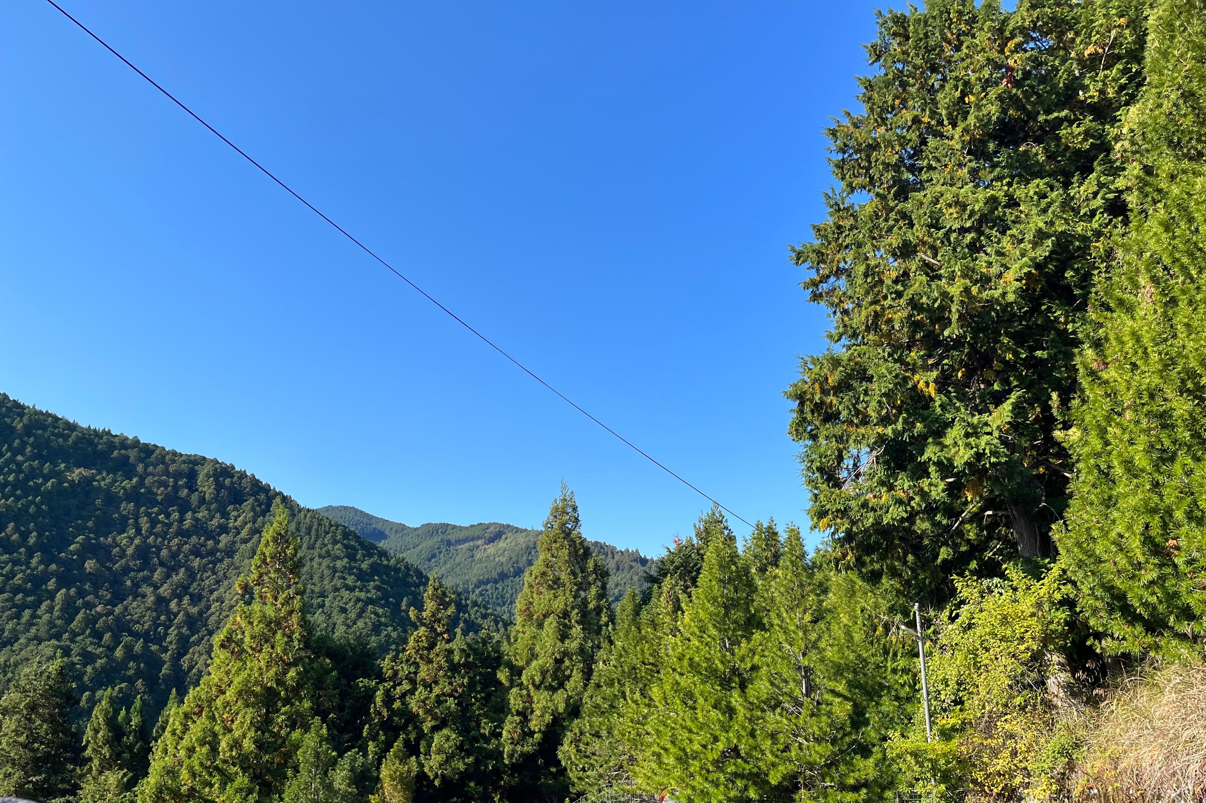 奈良の森への応援、ご支援ありがとうございました。のメインビジュアル