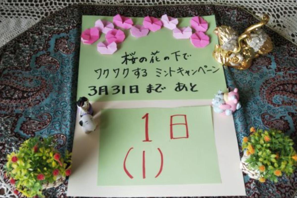 桜の花の下でワクワクするミントキャンペーン、本日最終日です。皆様今日1日、そしてこれからもよろしくお願いいたします。のメインビジュアル