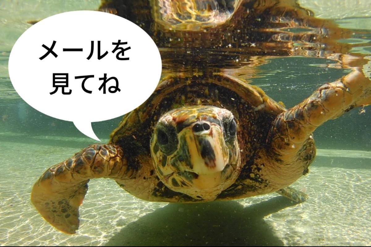 【メールの確認をお願いします！】のメインビジュアル
