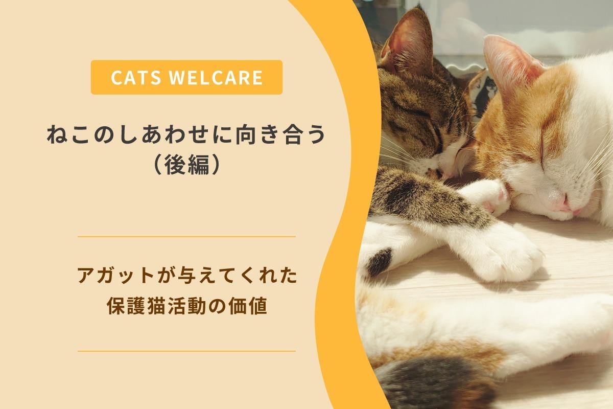 ねこのしあわせに向き合う（後編） 〜アガットが与えてくれた保護猫活動の価値〜のメインビジュアル