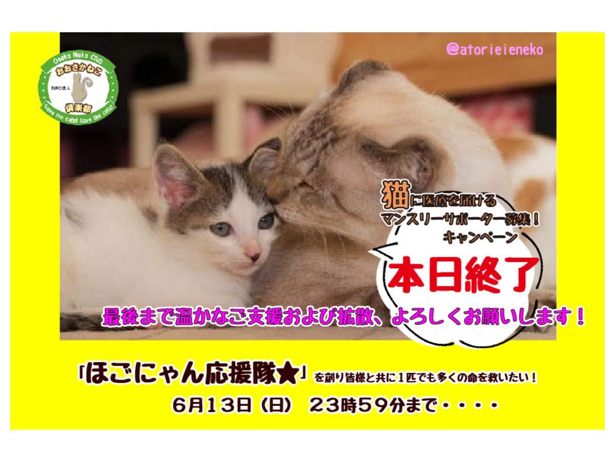 【本日最終日】感謝の想いと最後の協力のお願いのメインビジュアル