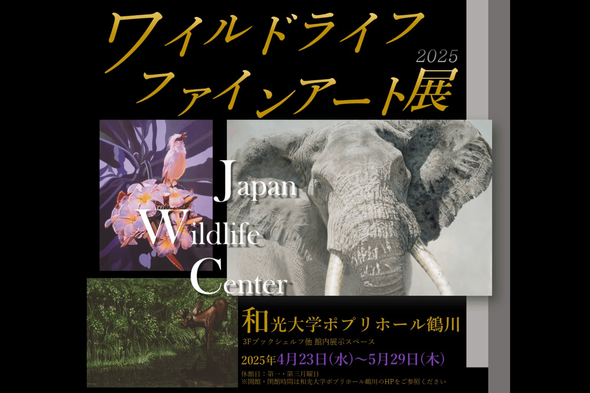 【イベント情報】ワイルドライフファインアート展開催中！のメインビジュアル