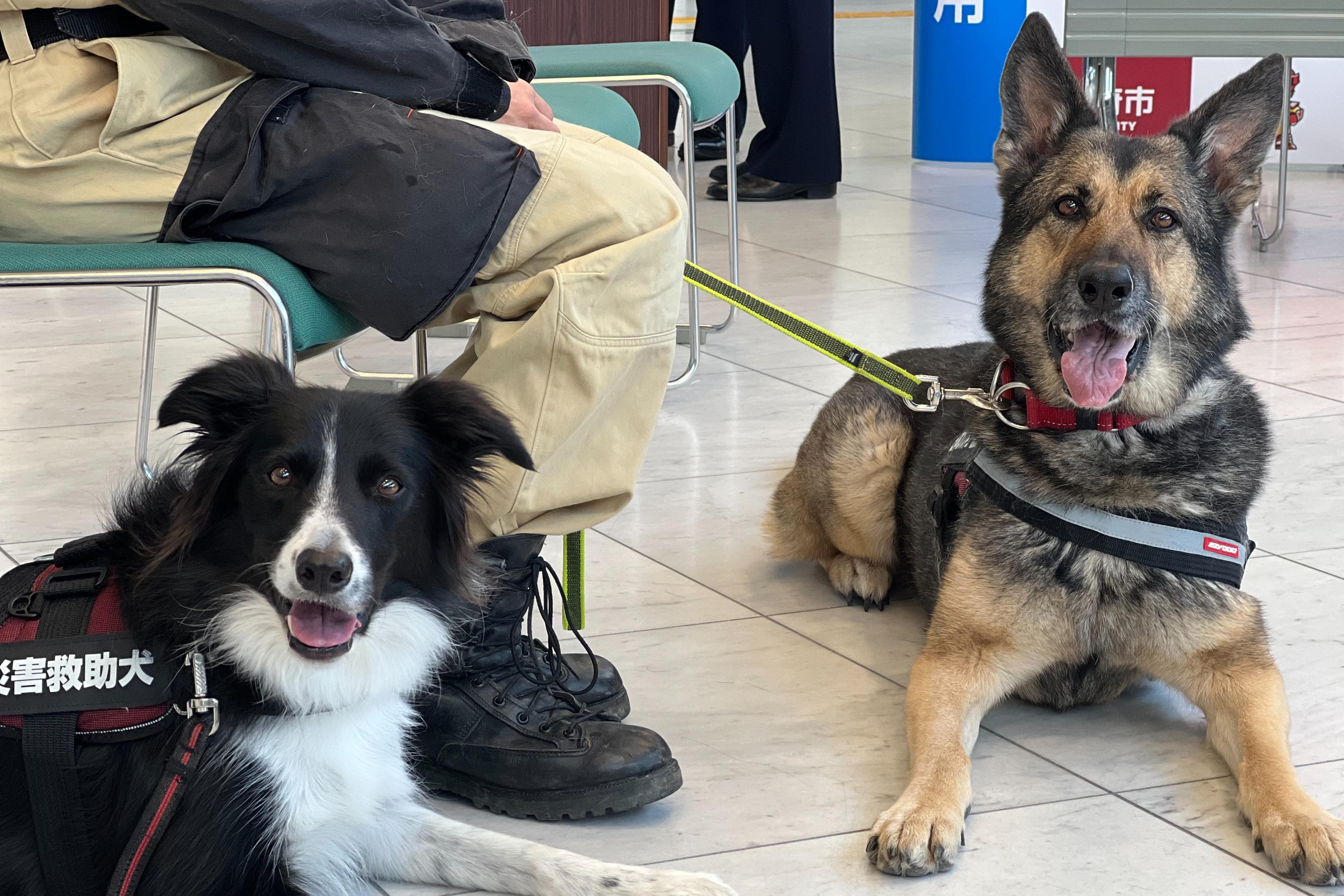 愛知県大府市との協定式に参加しました！のメインビジュアル