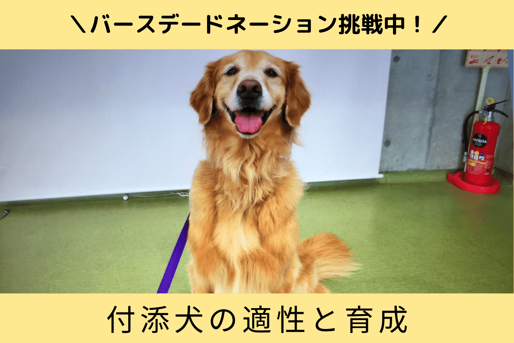 心身ともに健康であるからこそ発揮できる「付添犬の適性と育成」のメインビジュアル