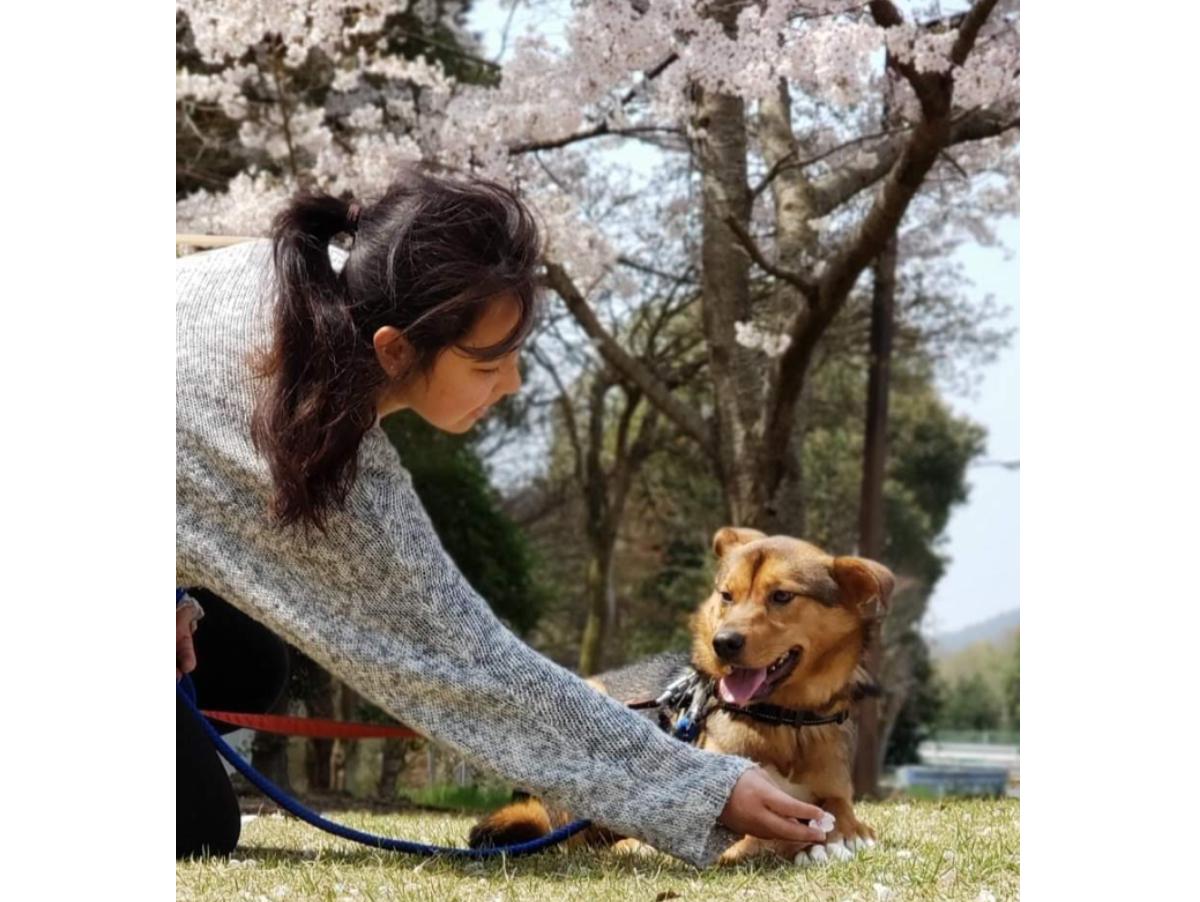 学生だからこそできたことのメインビジュアル