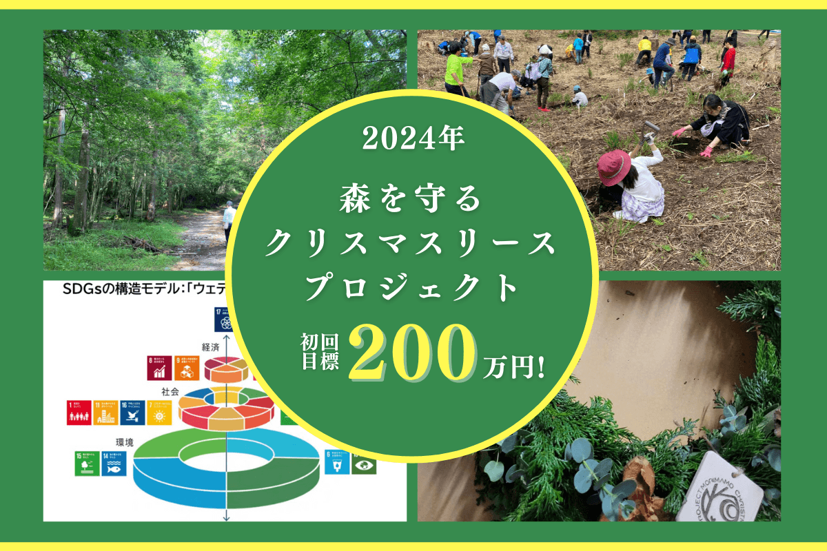 森を守るクリスマスリースプロジェクト2024 🌟開催中🌟ですのメインビジュアル