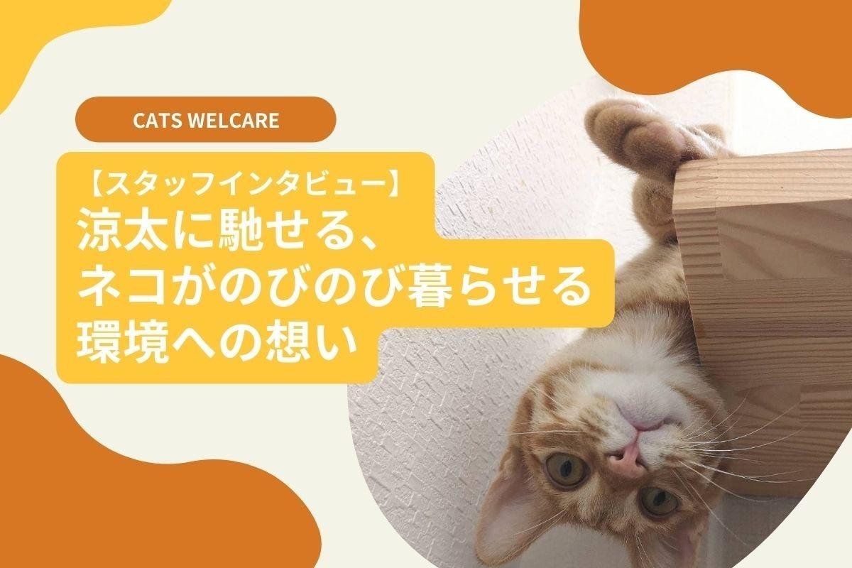 スタッフインタビュー  　涼太に馳せる、ネコがのびのび暮らせる環境への想い（後編）のメインビジュアル