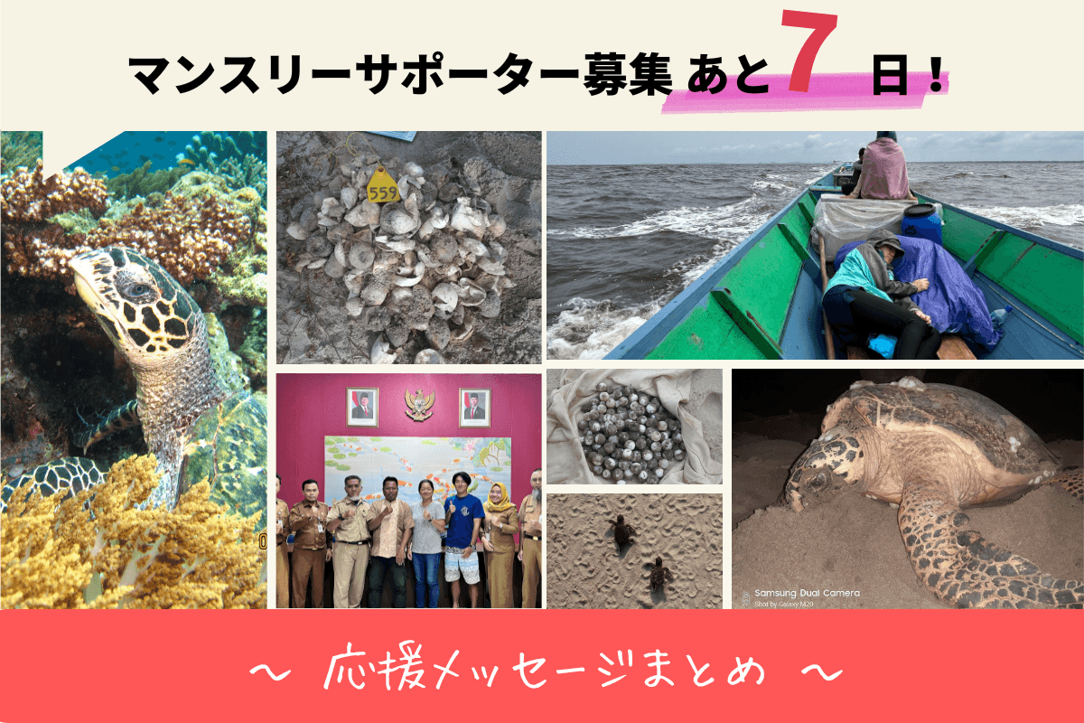 タイマイサポーター様からの応援メッセージまとめのメインビジュアル