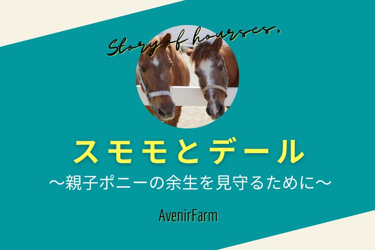 馬とのストーリーコンテンツ① スモモとデール 〜親子ポニーの余生を見守るために〜のメインビジュアル