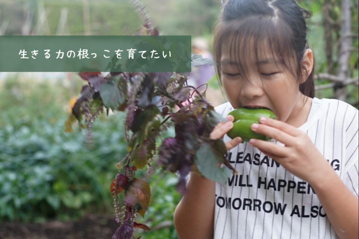 日本の学校教育の中心に食育菜園を！ 子どもたちに「エディブル・スクールヤード」を届けるためのマンスリーサポーター募集キャンペーンスタート！のメインビジュアル