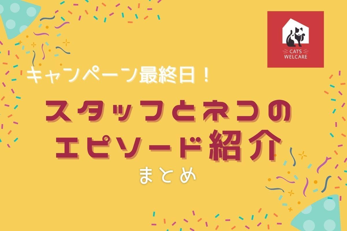 【本日キャンペーン最終日！】 スタッフとネコのエピソード紹介まとめのメインビジュアル