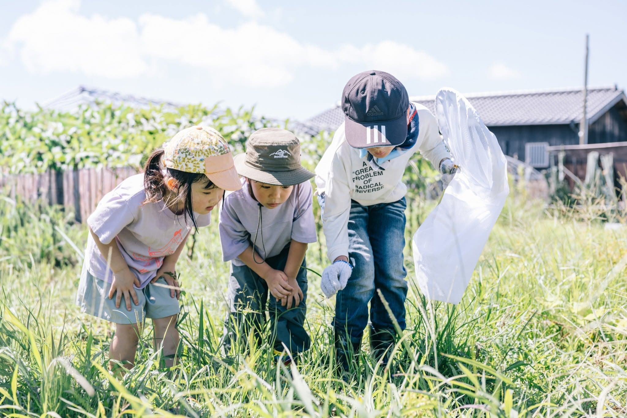 草も土も畑も、みんな支え合っている。―「めぐる畑のたんけんたい」のメインビジュアル
