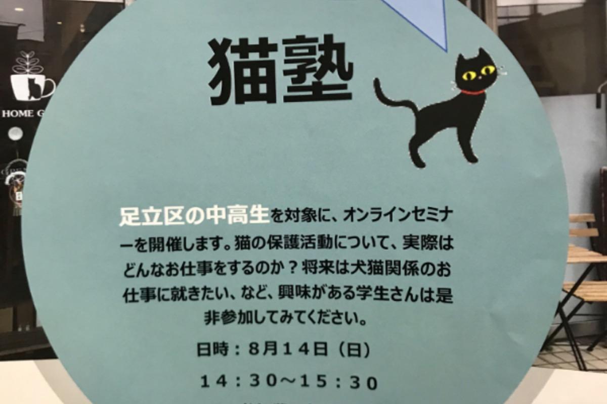 猫塾開催しました！のメインビジュアル