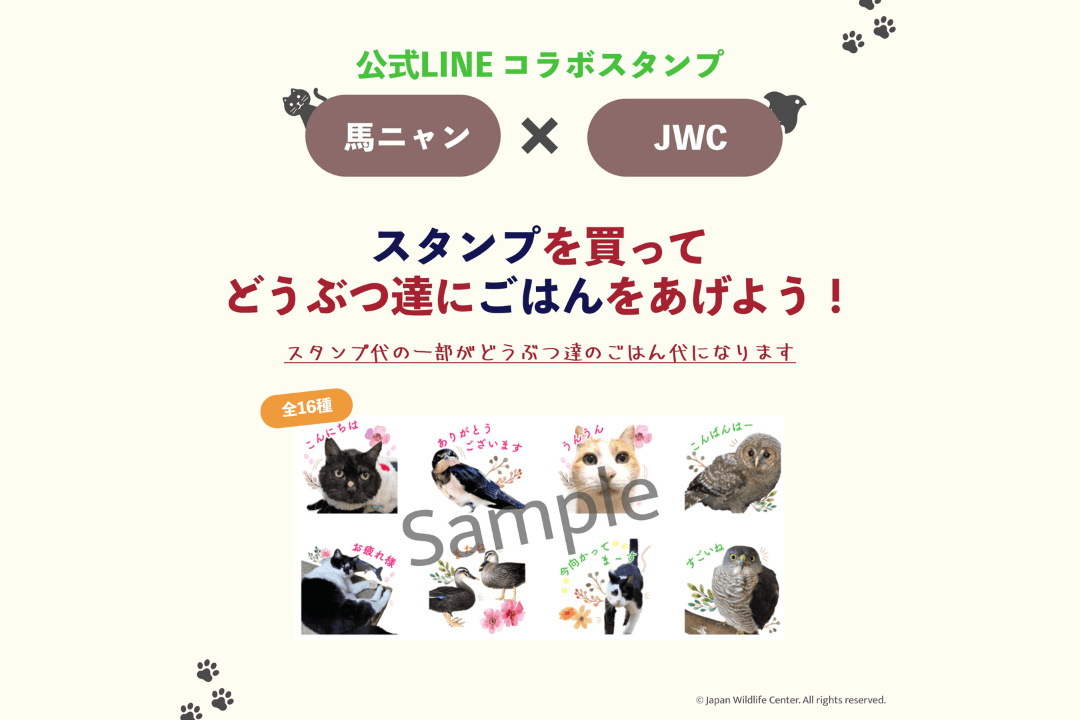 【LINEスタンプ販売中！】馬ニャン×JWCコラボスタンプ♪のメインビジュアル