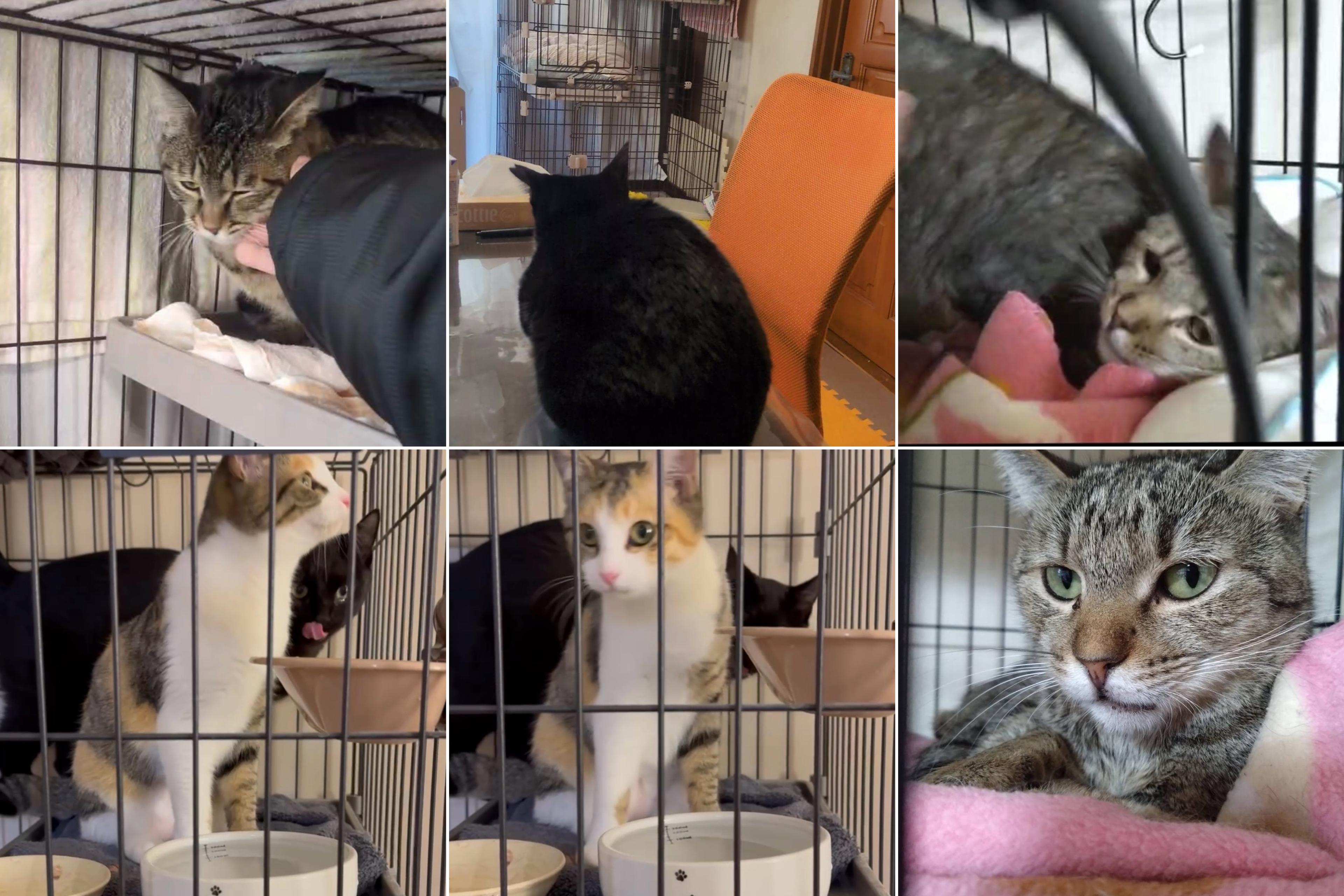 みなさま、本当にありがとうございますのメインビジュアル