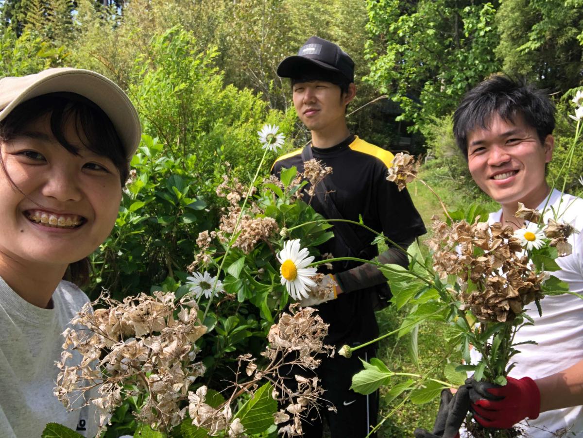 町の人の夢、小祝浜にお花を！のメインビジュアル